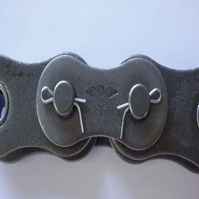 Power Transmission Roller Chain 24A 120-1R 2R 3R Supplier of Industrial